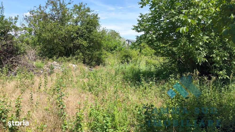 Teren Intravilan - 1.008 mp - Zona Buna - Strazi Asfaltate