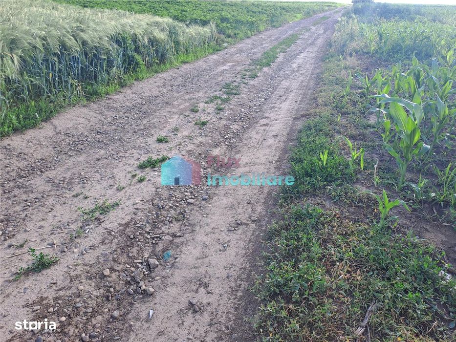 Teren intravilan in Reuseni, comuna Udesti