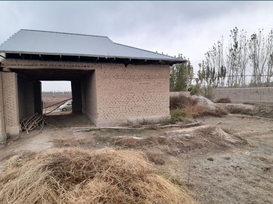 Uy sotiladi 12.4 sotix paxtachi tumani bek tuyxonasi orqasidagi ko'cha