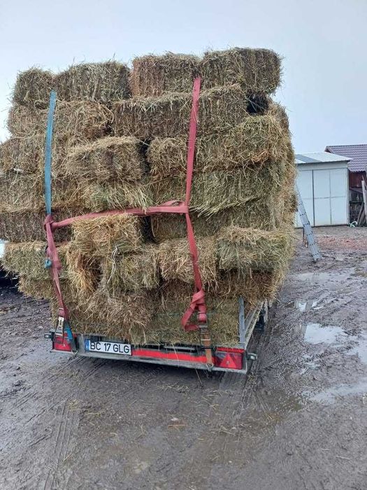 Baloti de fan, lucerna, paie si otava