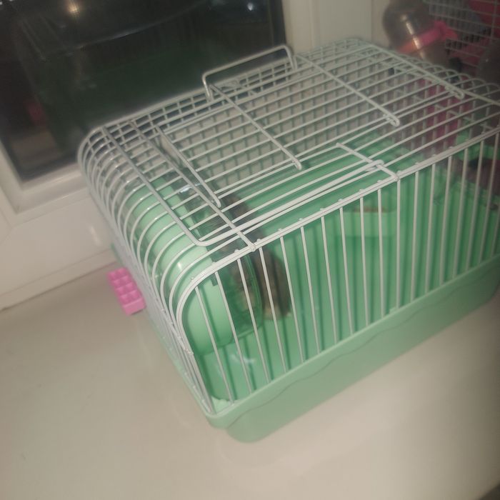 Хомячок с клеткой