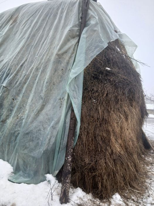 Vând fan pentru animale
