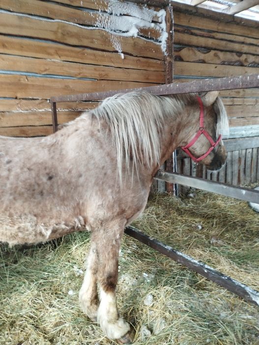 Атбасарский район