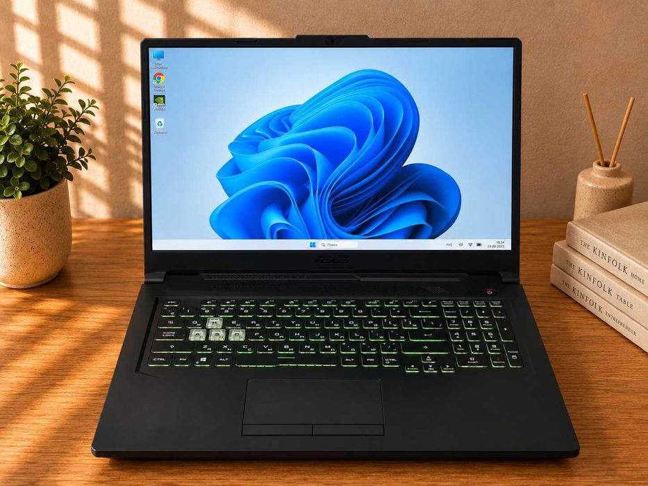 Игровой ноутбук ASUS TUF F17 /i5-10300H/8GB/512GB/GTX1650TI