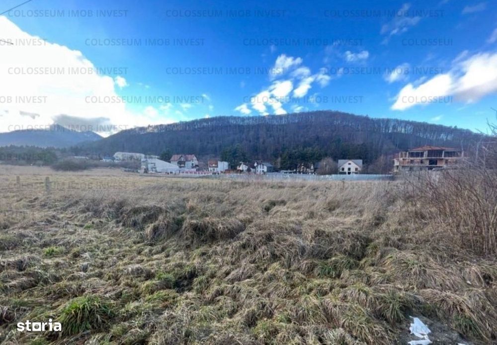 Teren intravilan, cu certificat de urbanism - Bunloc/Sacele - Vedere 3