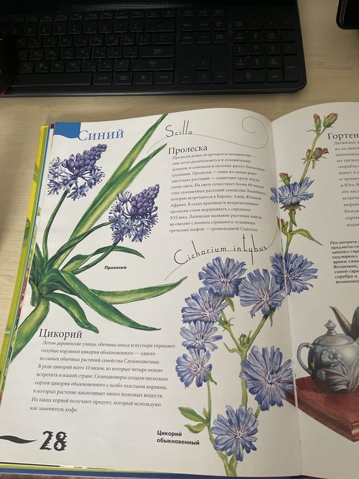 Атлас цветов для школьников