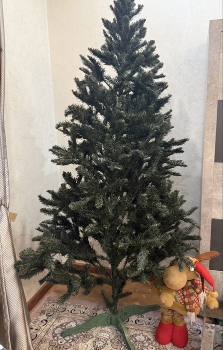 Отдам бесплатно елку 2метра