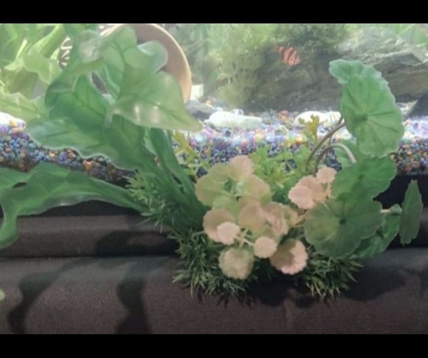 Искусственные растения в акву