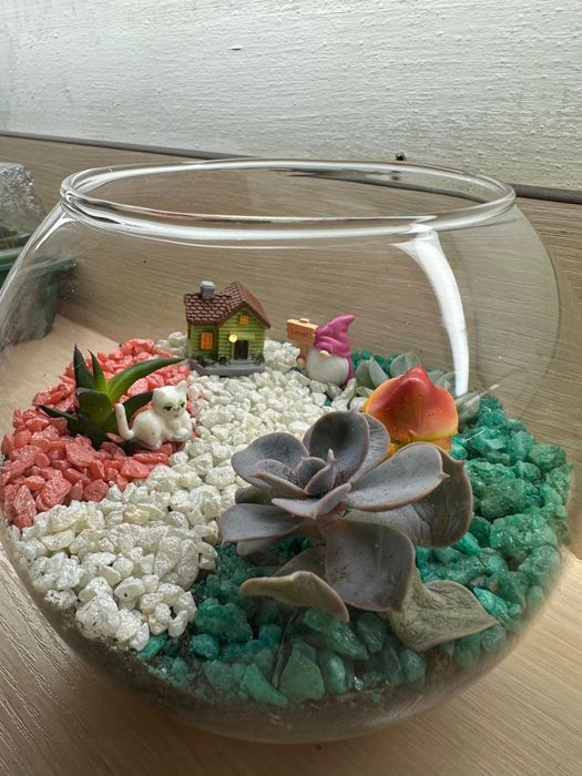 Флорариум, минисадик, подарки любимым