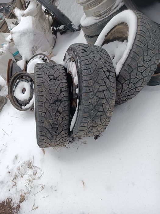 Резина на 16 205на55