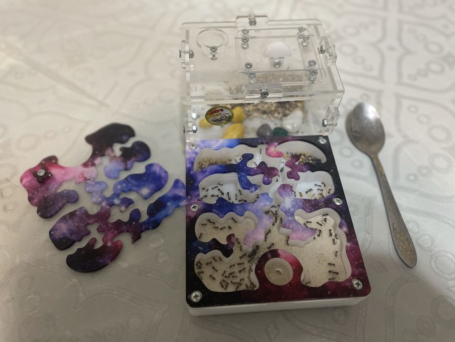 Муравьиная ферма