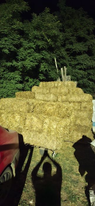 Baloti de paie din 2025