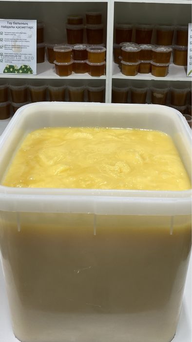 Натуральный мёд Оптом Табиғи бал