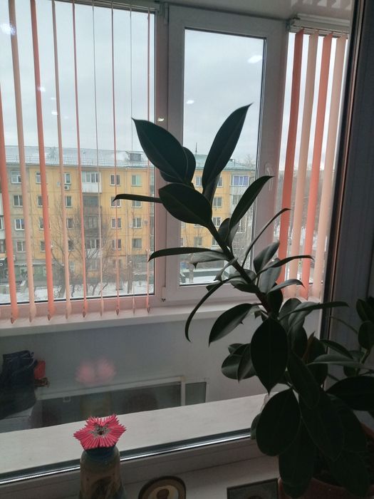 Двужка в самом центре города!