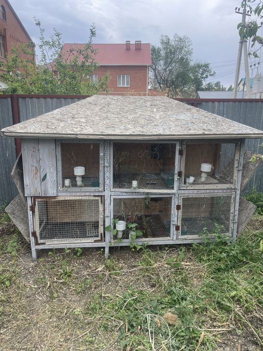 Продам крольчатник