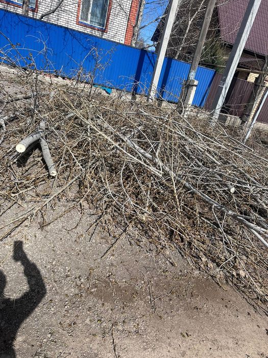 Дерево для шашлыка