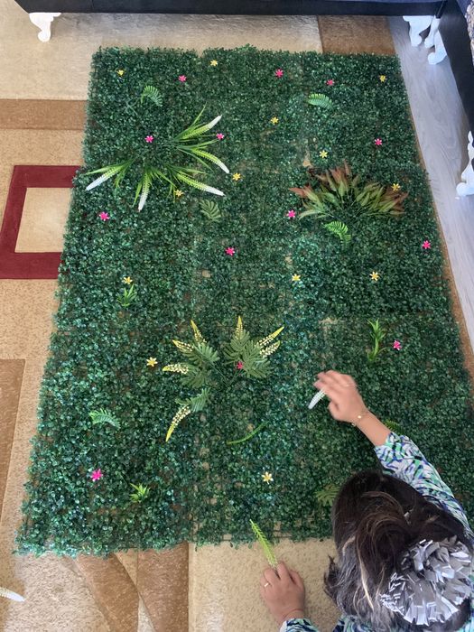 Декоративные короя мукунем