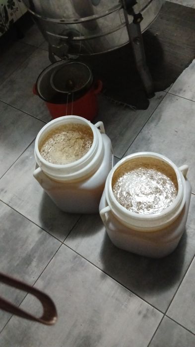 Miere albine angro