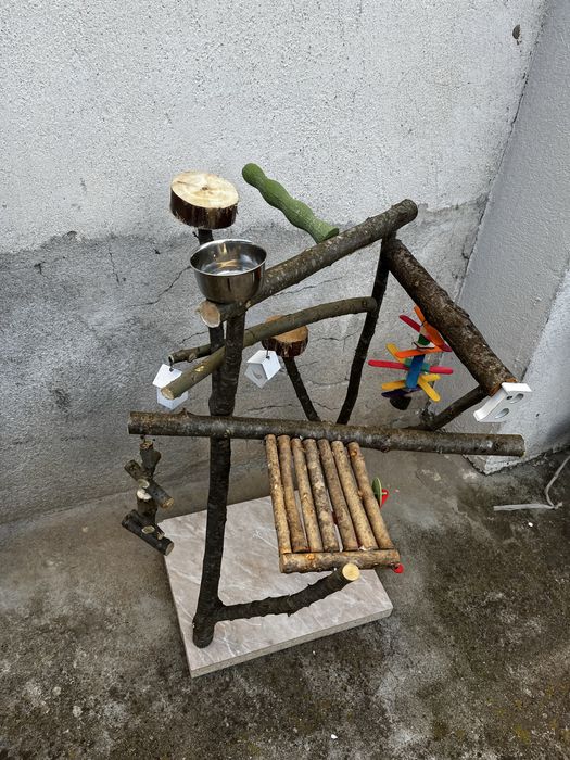 Кацалка за папагал