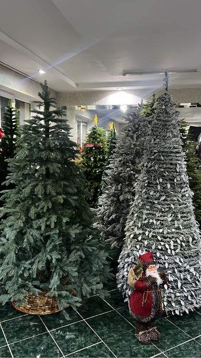 Прокат Елки