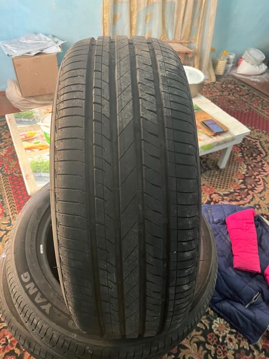 Авто шины 225/55/18