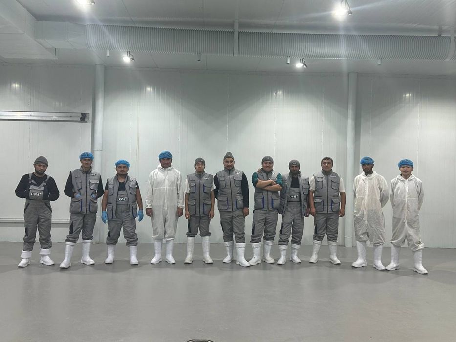 Lavash Donar goʻshti