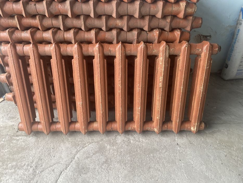 Чугунные ботореи