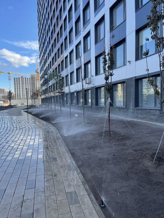 Озеленение и благоустройство