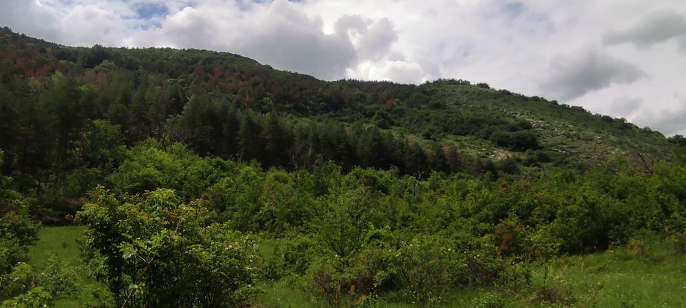 Земя за къща вила или ранчо