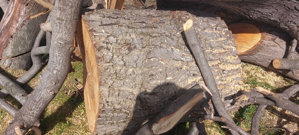 Орехов материал на трупи