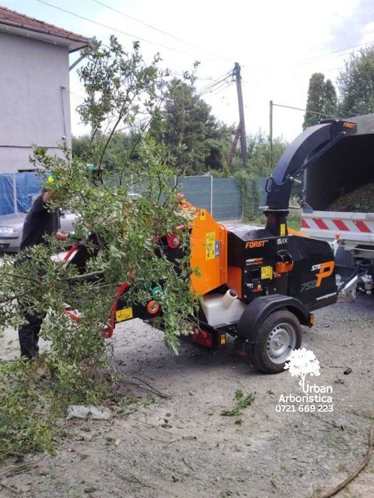 Toaletare Taiere Copaci Pomi - Servicii București Toate Sectoarele