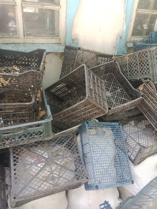 Пласмасовые ящики бу