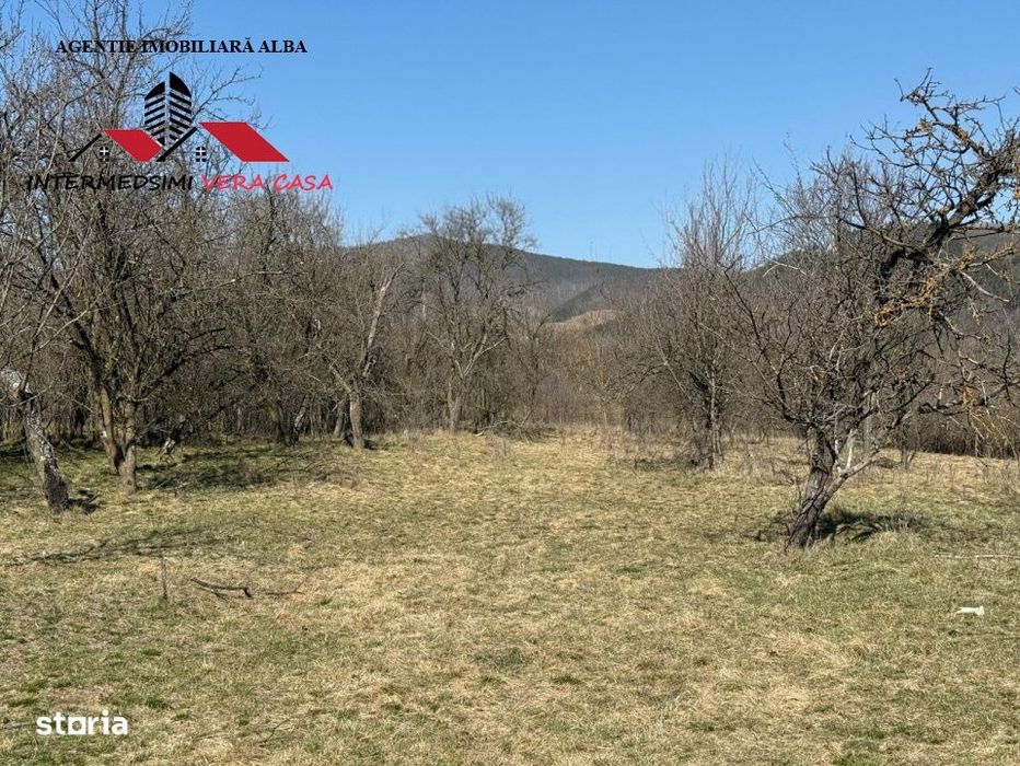 Casa si anexe cu un teren de 7701 mp de vanzare in Stauini  Jud Alba