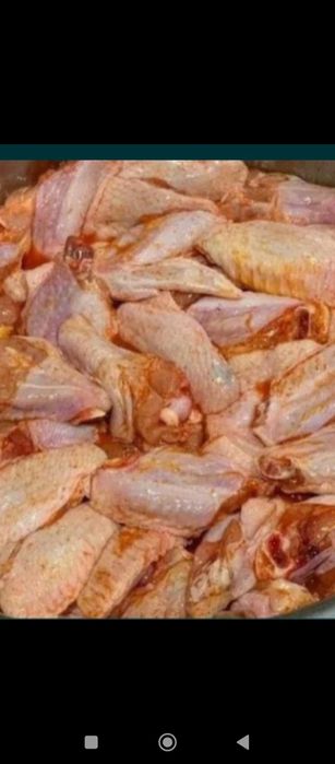 Цыплята бройлер оптом и в розницу