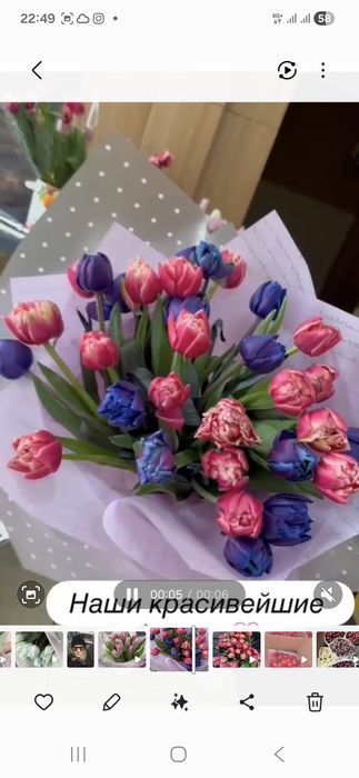 Тюльпаны в широком ассортименте