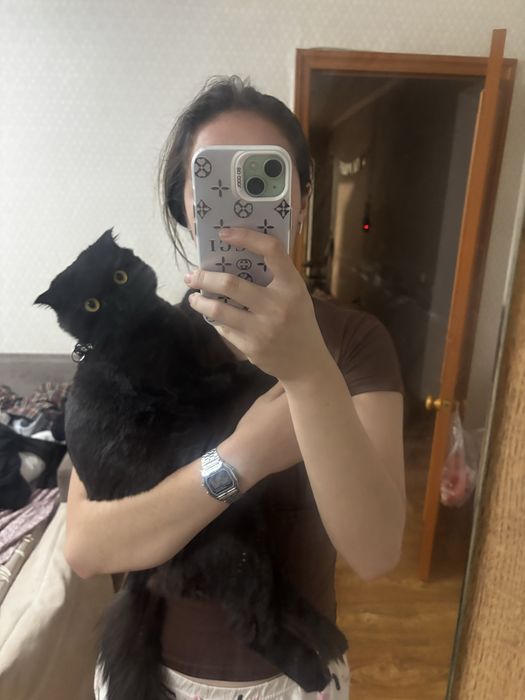 черный котик, в добрые руки
