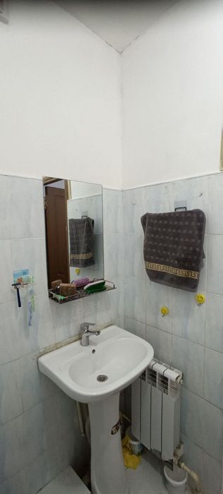 Мирзо Улугбек аренда семя и студентов