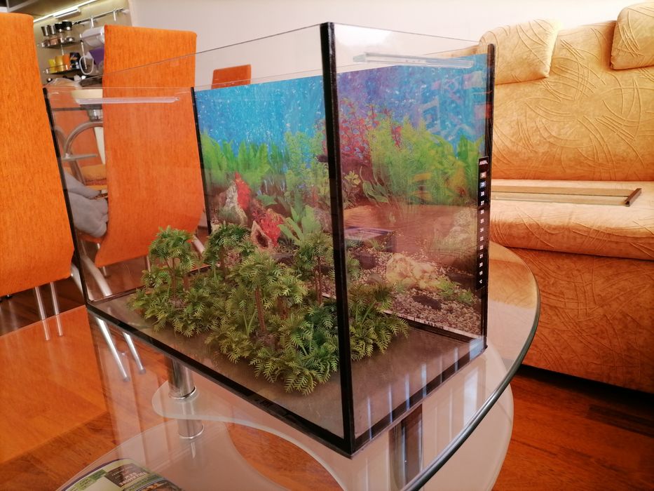 Аквариум с оборудване