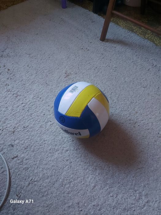 Волейбольный мяч