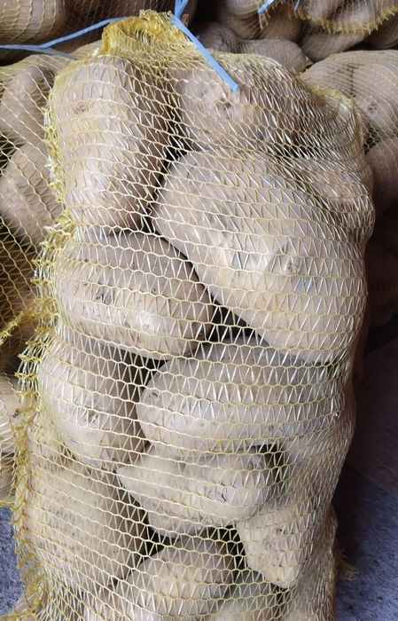 зеленчуци и плодове