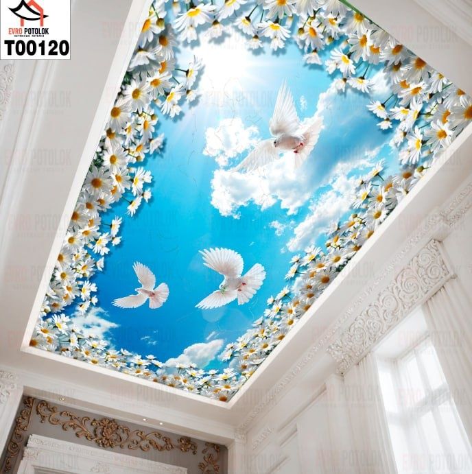 Натяжной потолок,  Patalok Natyajnoy