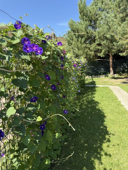 Зимний Дом. Бухтарма