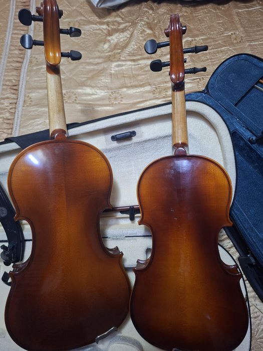 2 viori una intreaga si una 3 sferturi