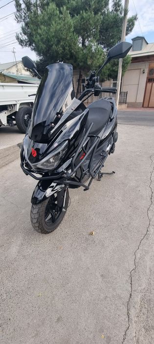 Tiger skuter sotiladi