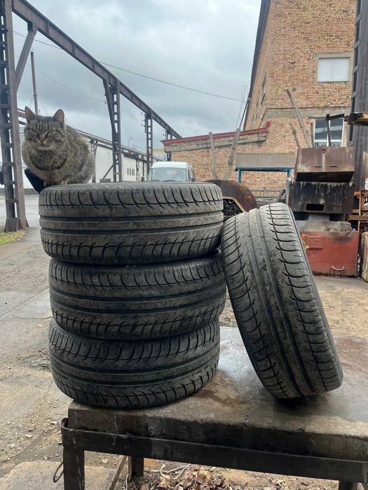 Шины BFGoodrich 195/50 R15