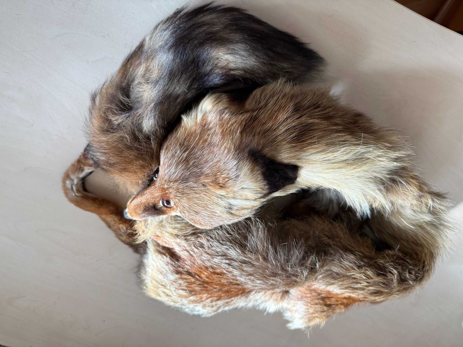 Яка шал лисица естествена кожа