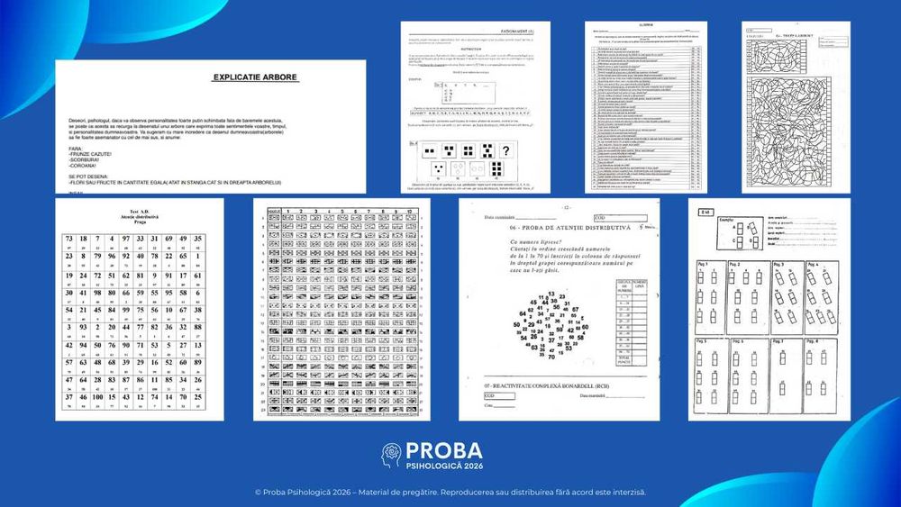 Proba Psihologică 2026 - MAI • MApN • ANP • SRI • SIE • Sursă Externă.