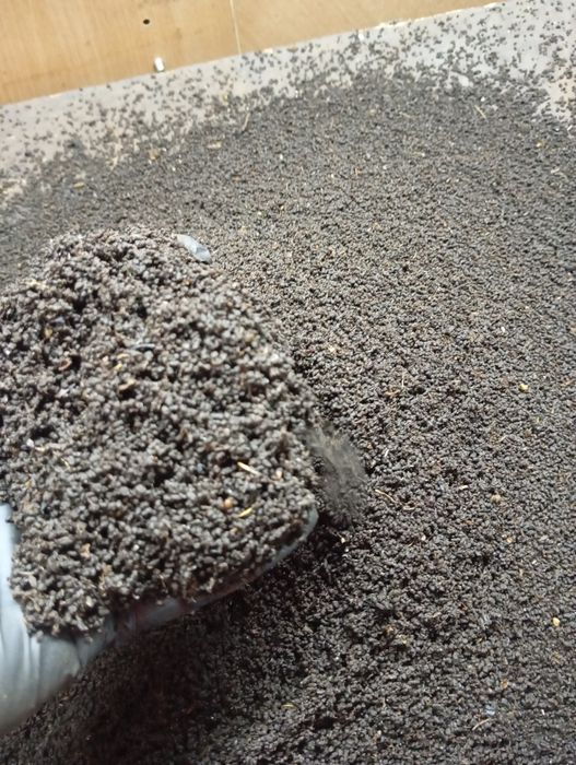 Биогумус биогумус