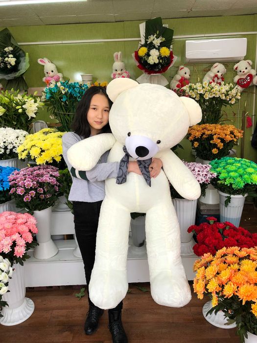 Жми Мягкие Игрушки Плюшевые Доставка Панда Тедди Большие Мишки