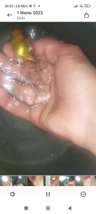 1 kun garntya beriladi